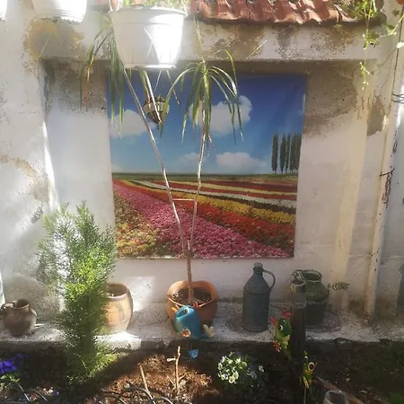 Park Garden Studio