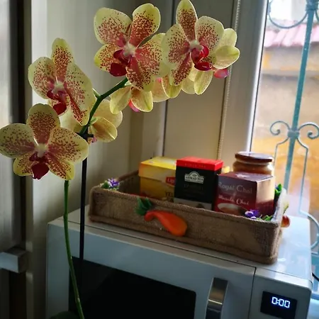 Park Garden Studio Apartment